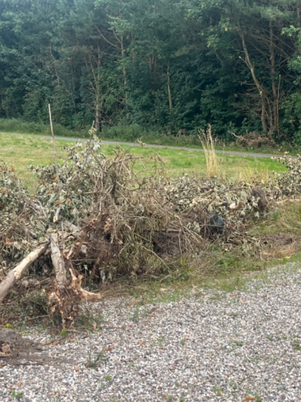 Bortkørsel af affald