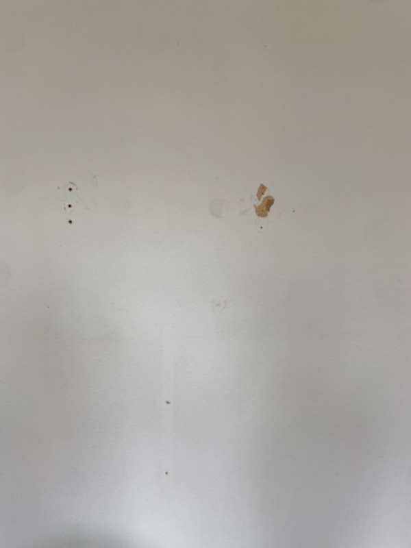 Fjernelse af savsmuldtapet, foretrækker en med erfaring