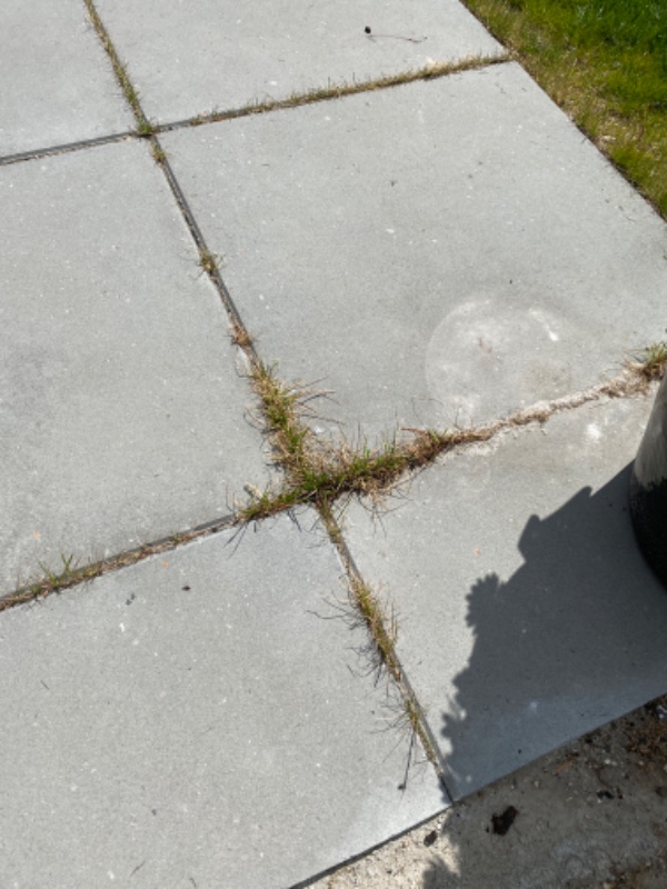 Fjerne græs mellem fliser