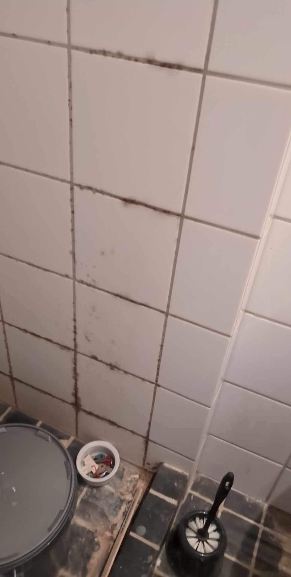 Rengøring af badeværelse