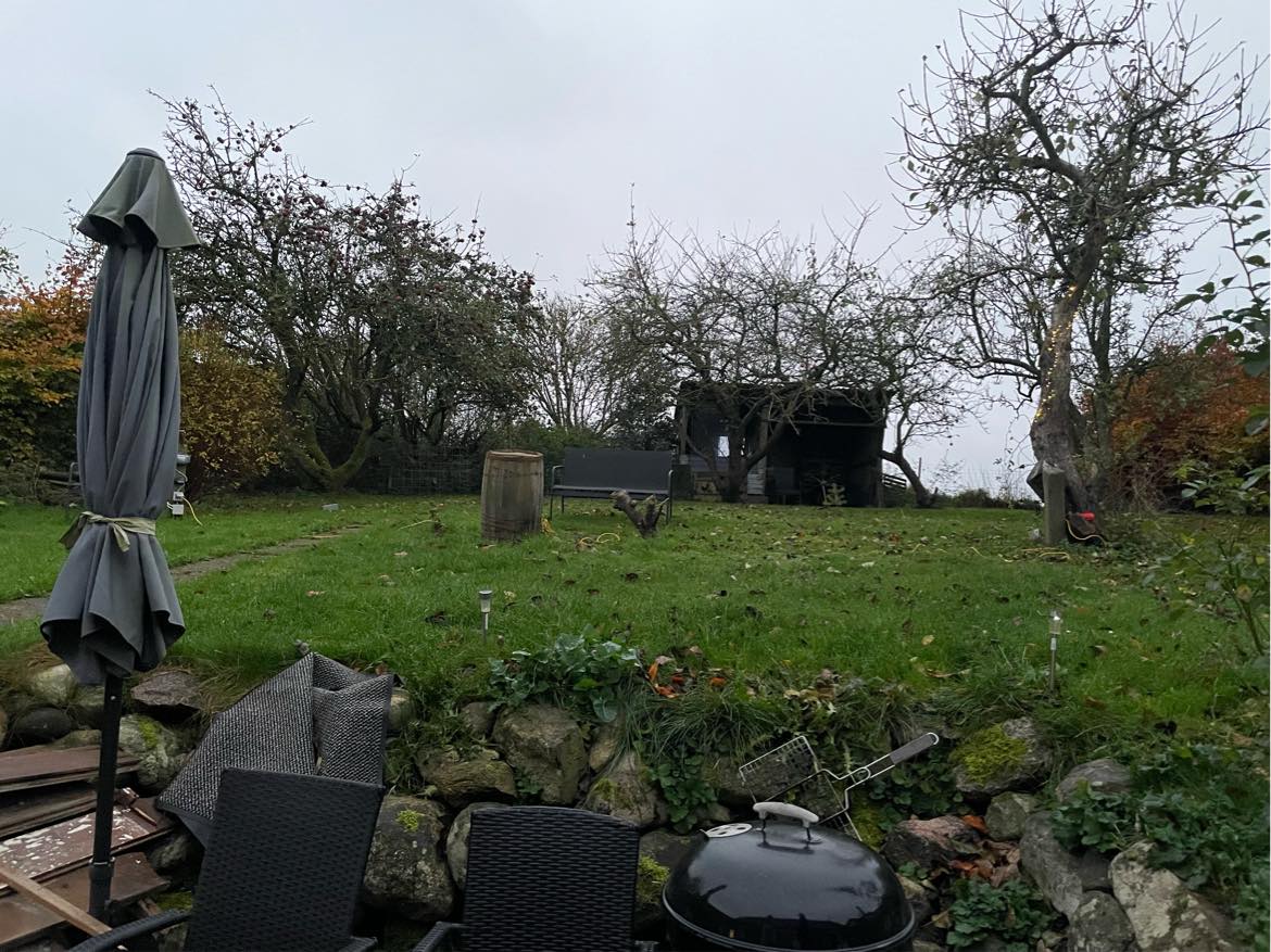 Fældning af gamle frugt træer