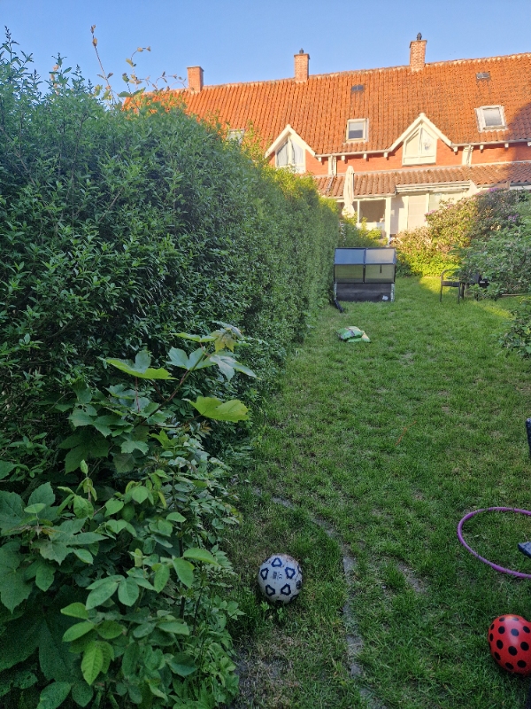 Beskæring og havearbejde