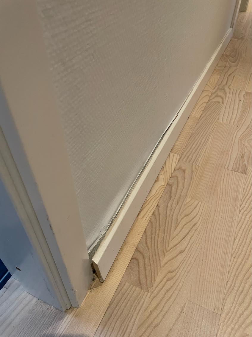 General house repairs