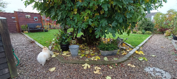 Fliser på gangsti og trailer parkering