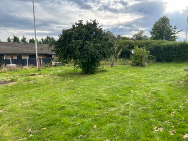 Græsslåning + ukrudt