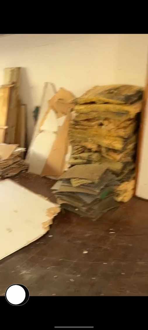 Oprydning og afskaffelse af affald