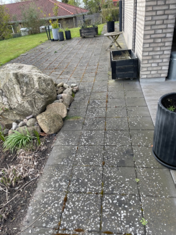 Fliser rens og imprægnering