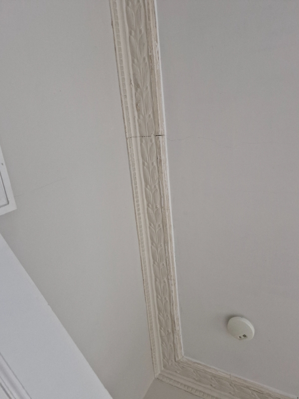 Rensning af stuk, maling af loft.