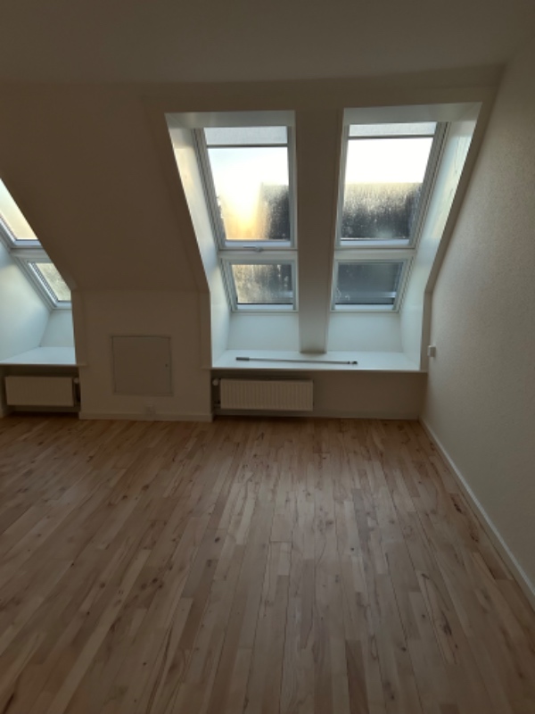 En gipsvæg - opdeling af rum. Mål L: 3,70 cm H: 2,33