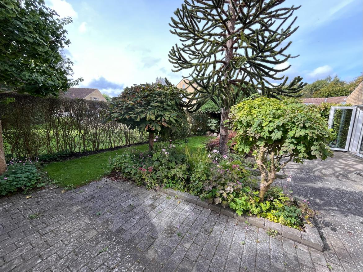 Vinterklargøring af have