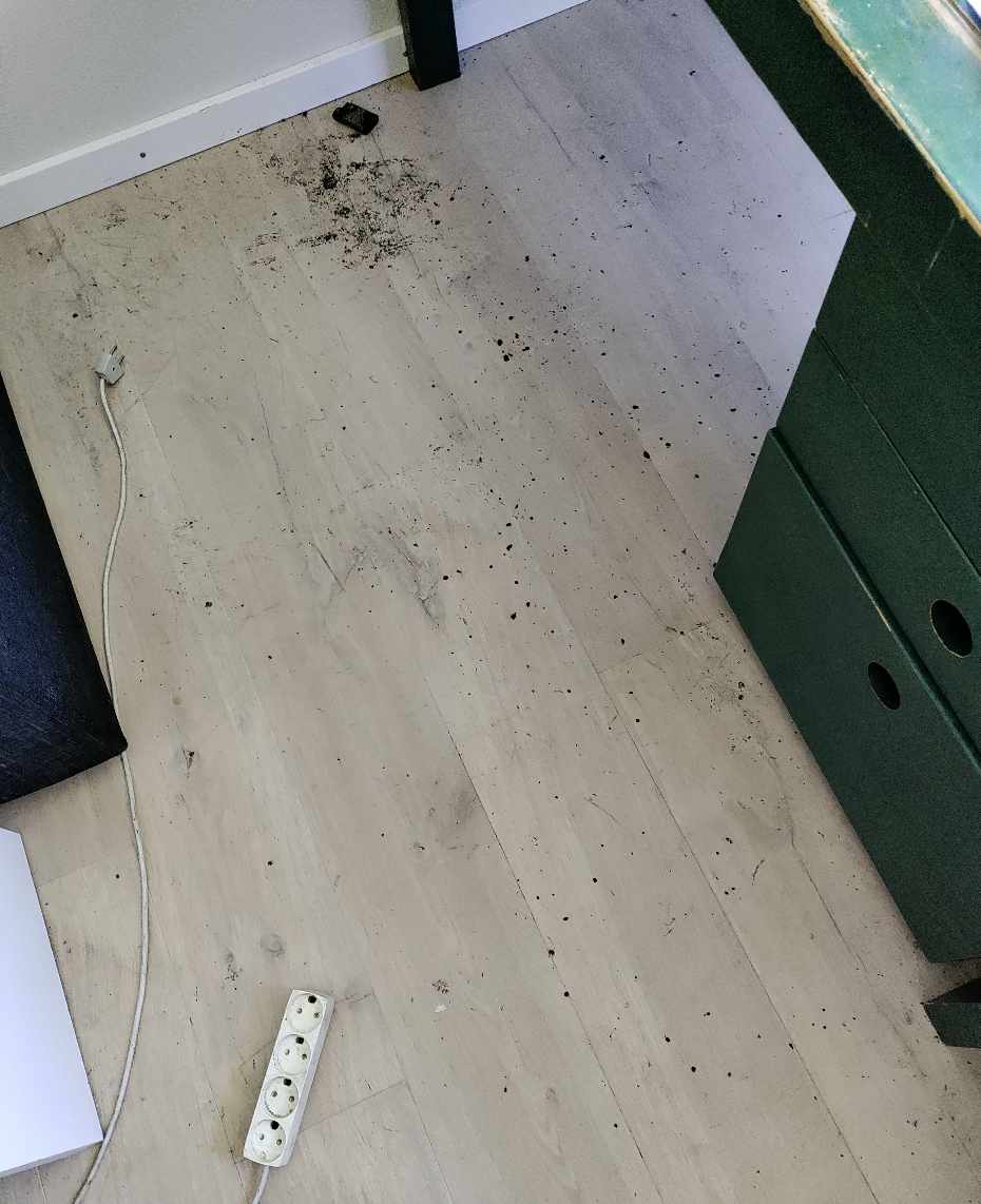 Rengøring af lille værelse