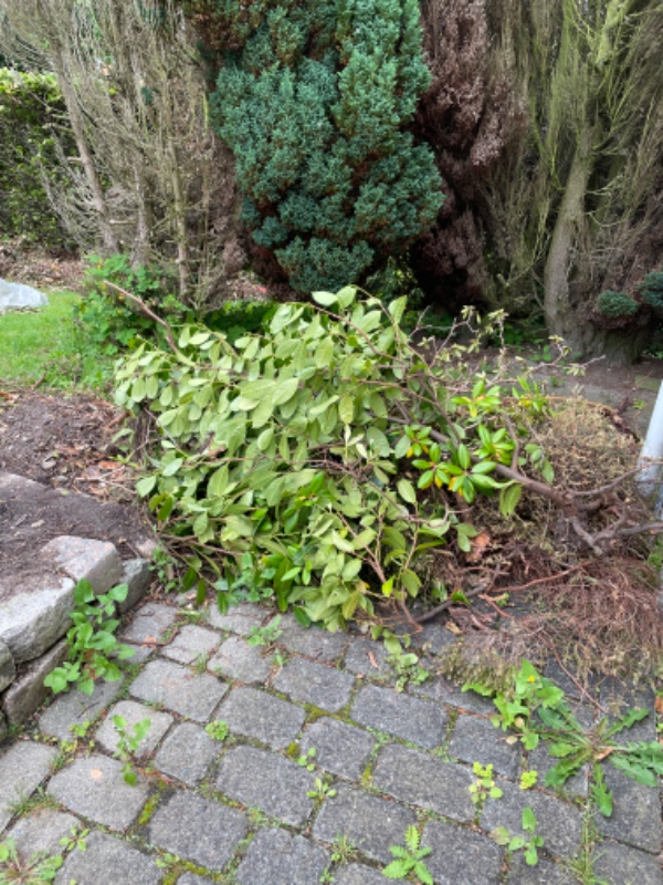 Bortskaffelse af haveaffald