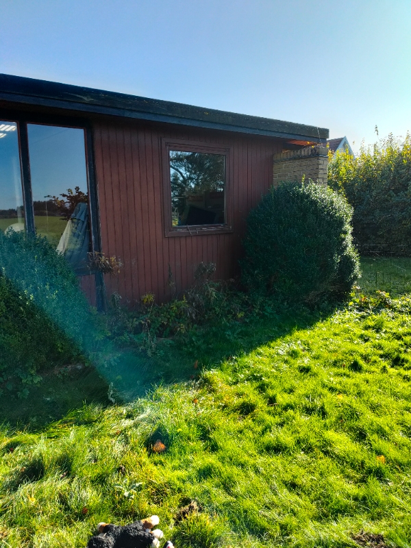 Have: Beskæring, nedrivning