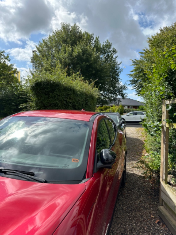 Klipning af blandede hække.