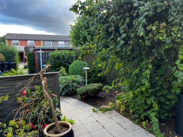 Hæk, græs og beskæring af lidt buske og lidt ukrudt