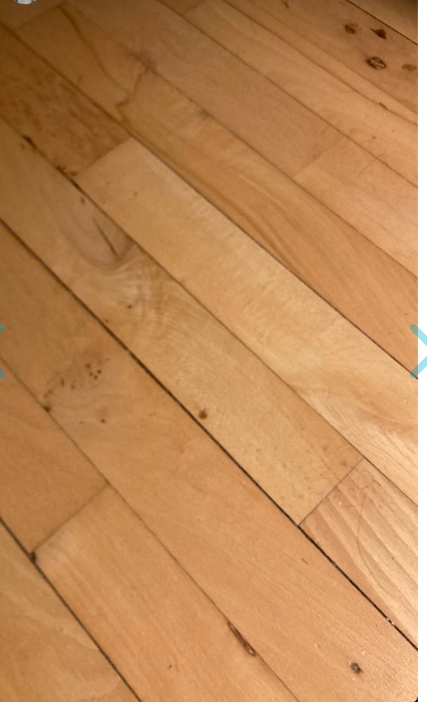 Slibning af gulv + hvid lak (åben for alternativ)