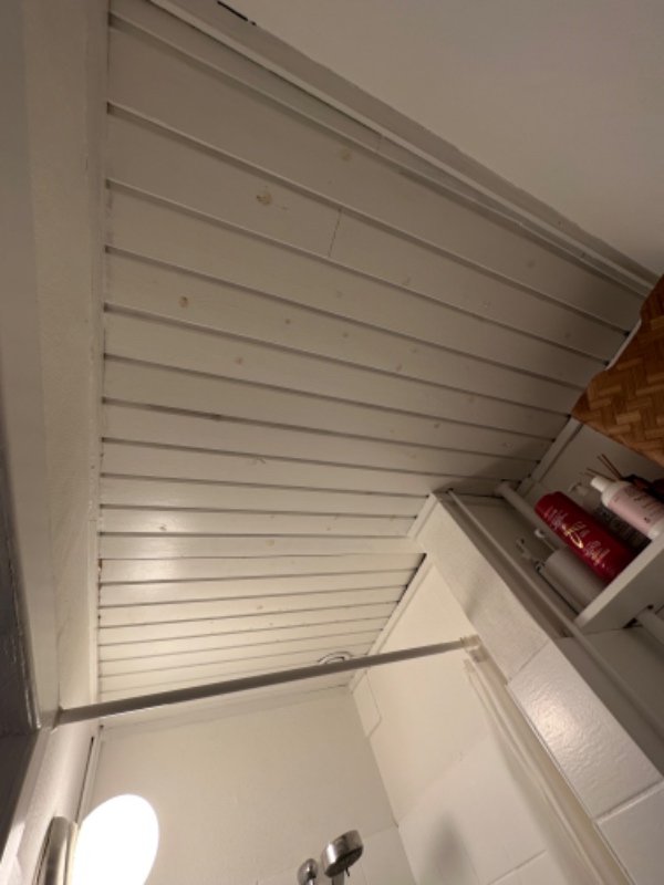 Etablering af badeværelsesloft