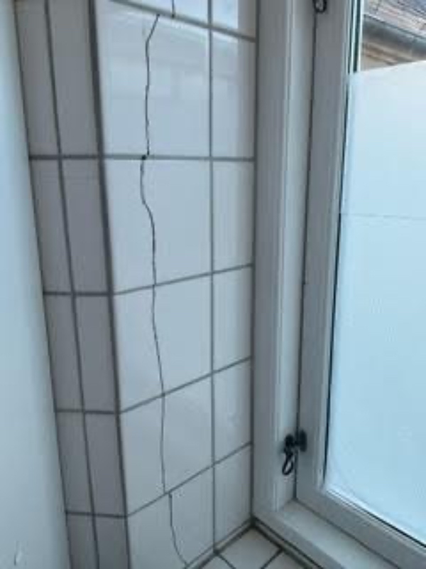 Udskiftning af 12 fliser