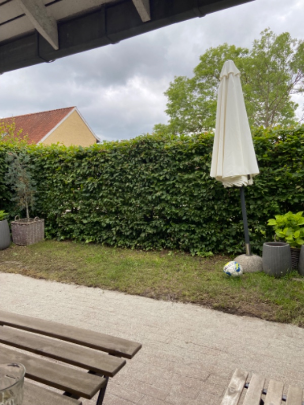 Fjernelse af gammelt græs