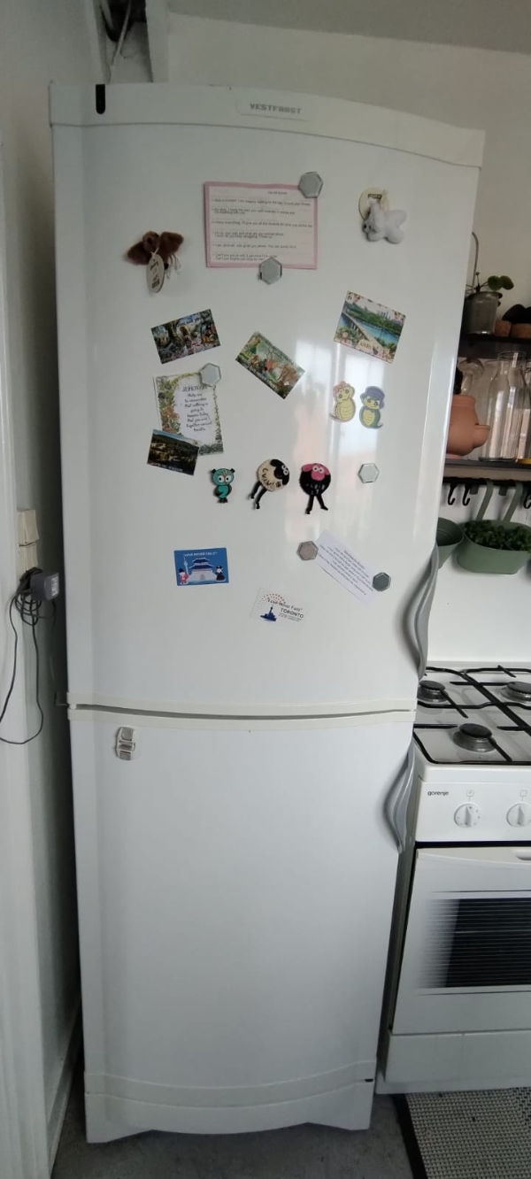 Hjælpe til at flytte køleskabet, gasovn, seng, klædeskab, og spise bord