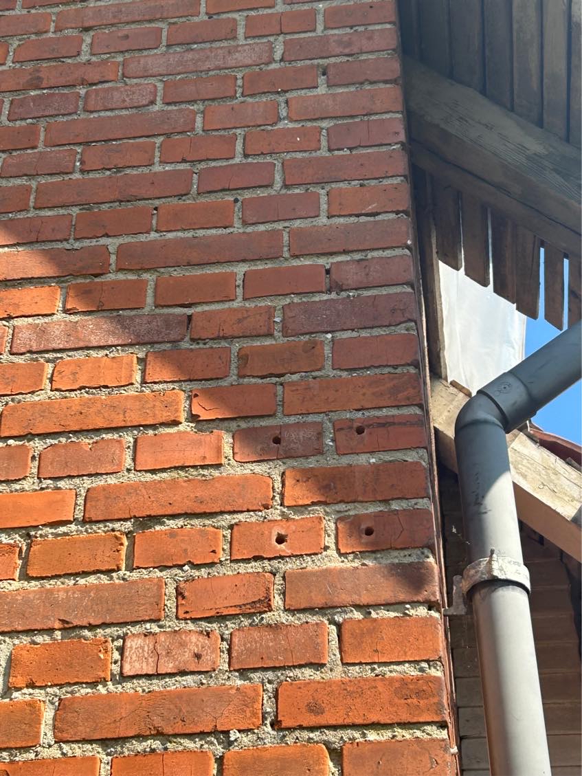 Vi har muligvis murbier i vores husfacede.