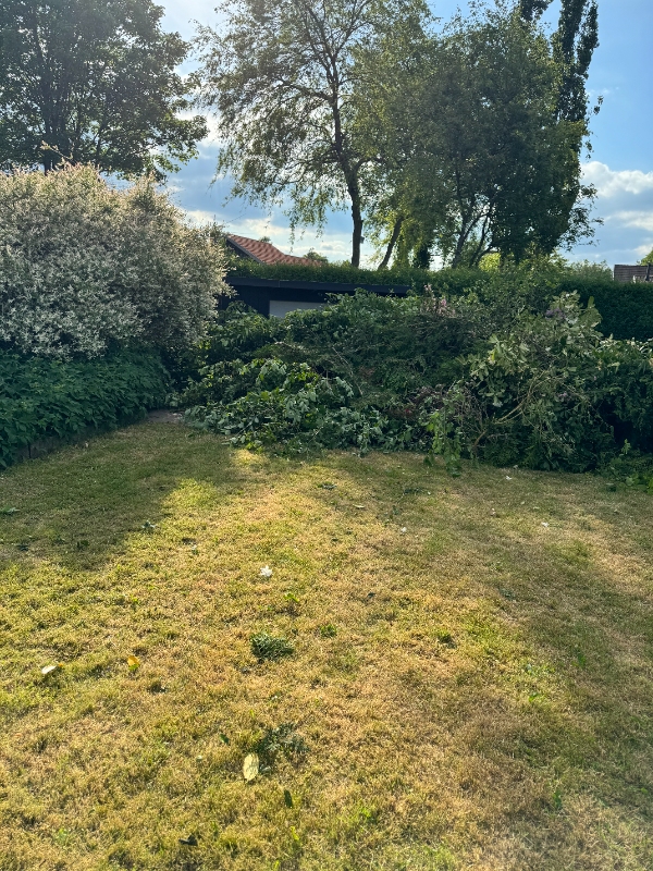 Fjernelse af pil og haveaffald