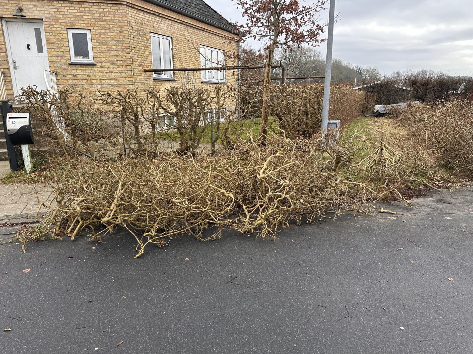 Kørt affald fra beskæring af hæk til haveaffald
