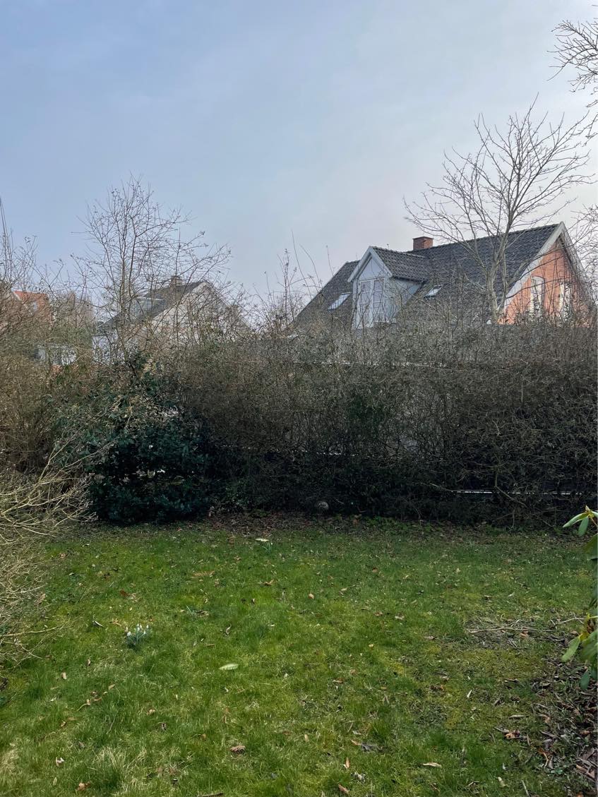 Havearbek beskæring fældning bortkørsel