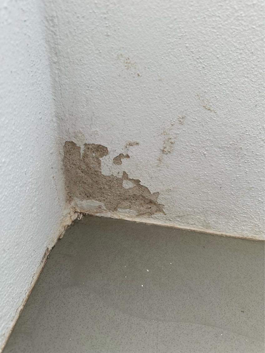 Pudsning af kældervæg