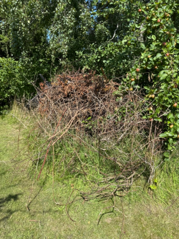 Afhentning af haveaffald