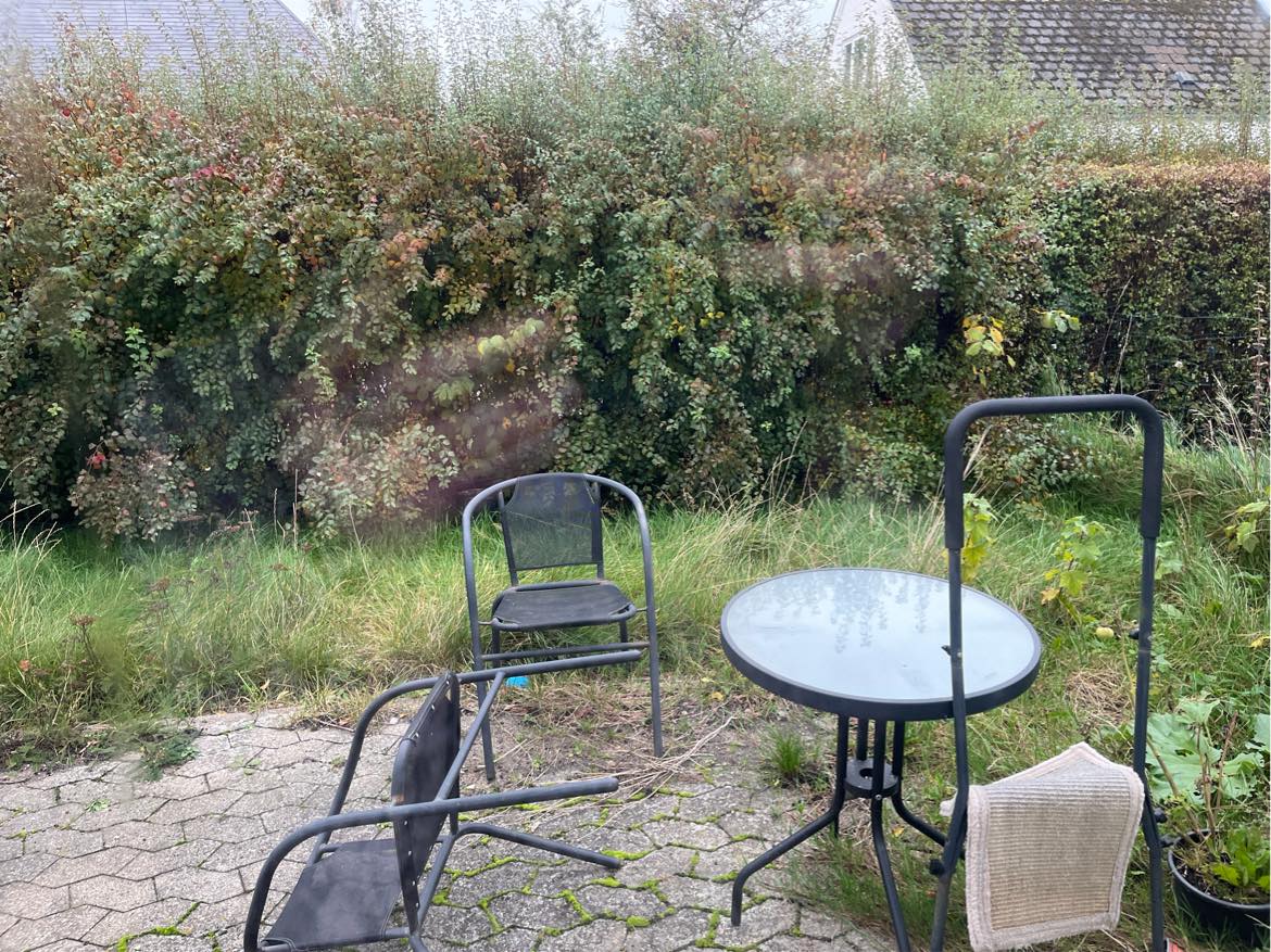 Klip af hæk på indvendig side samt græsslåning