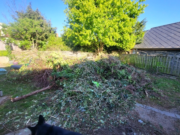 Haveaffaldsbortskaffelse ca. 10 cubikmeter 