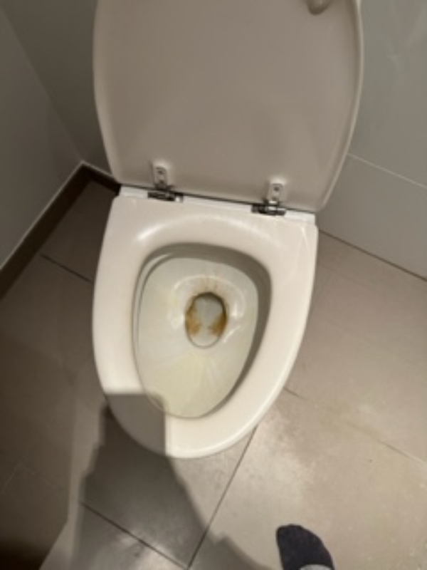 Rengøring af lejlighed