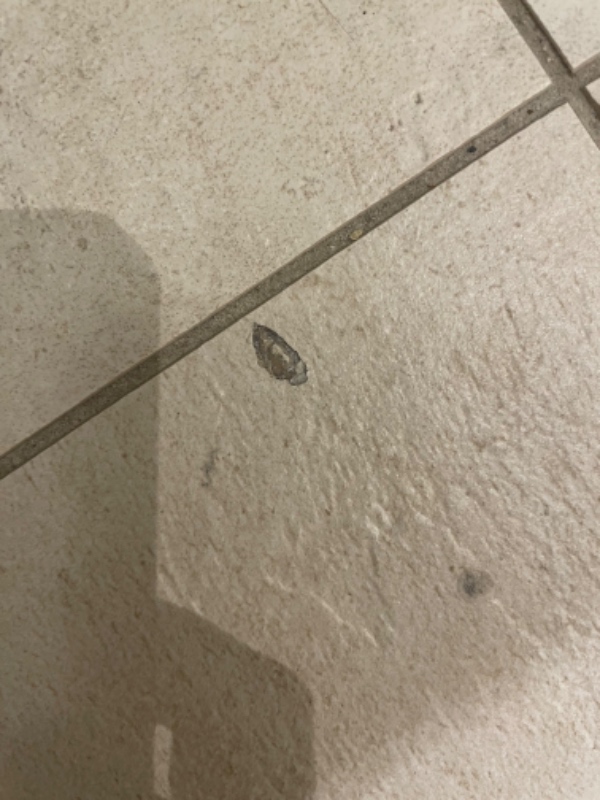 Restoration av hull i fliser og benken på badet.