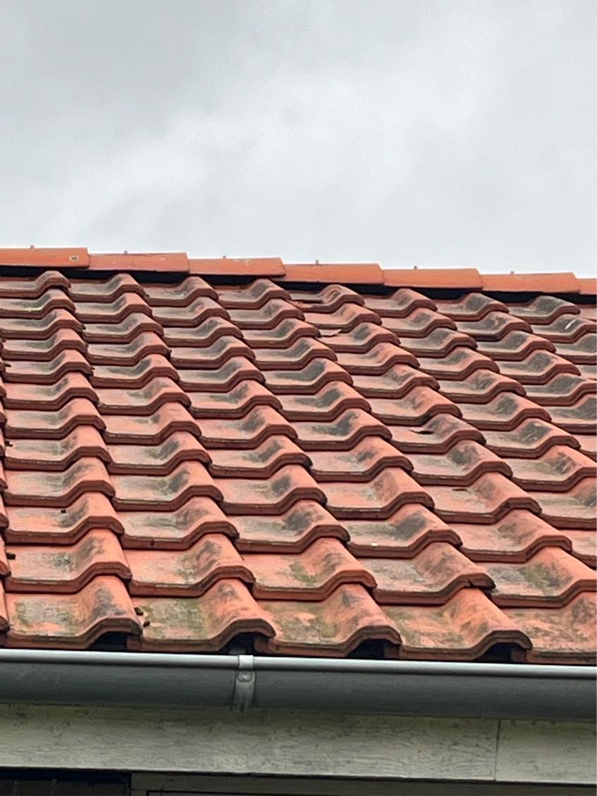 Udskifte 3 tagsten på vingetegl tag