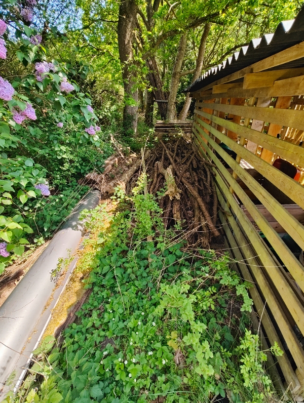 Bortkørsel af affaldstræ