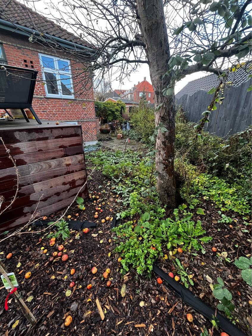 Klargøring af have til salg af hus