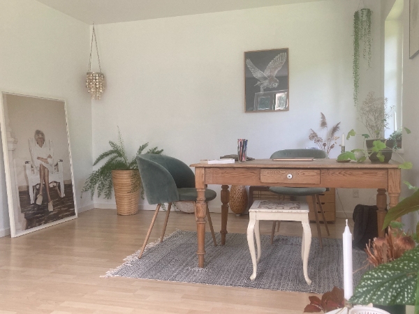 MALING AF STUE I SKOVHUS - ca. 25 km2 - Midtjyske