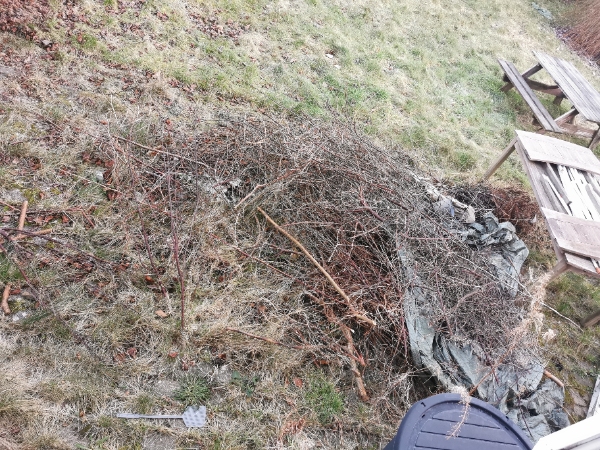 Afhentning af haveaffald