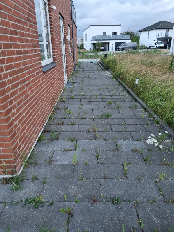 Fjernelse af ukrudt mellem fliser