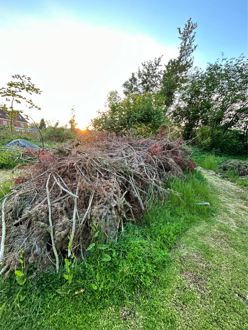 Fjernet 2 bunker grene