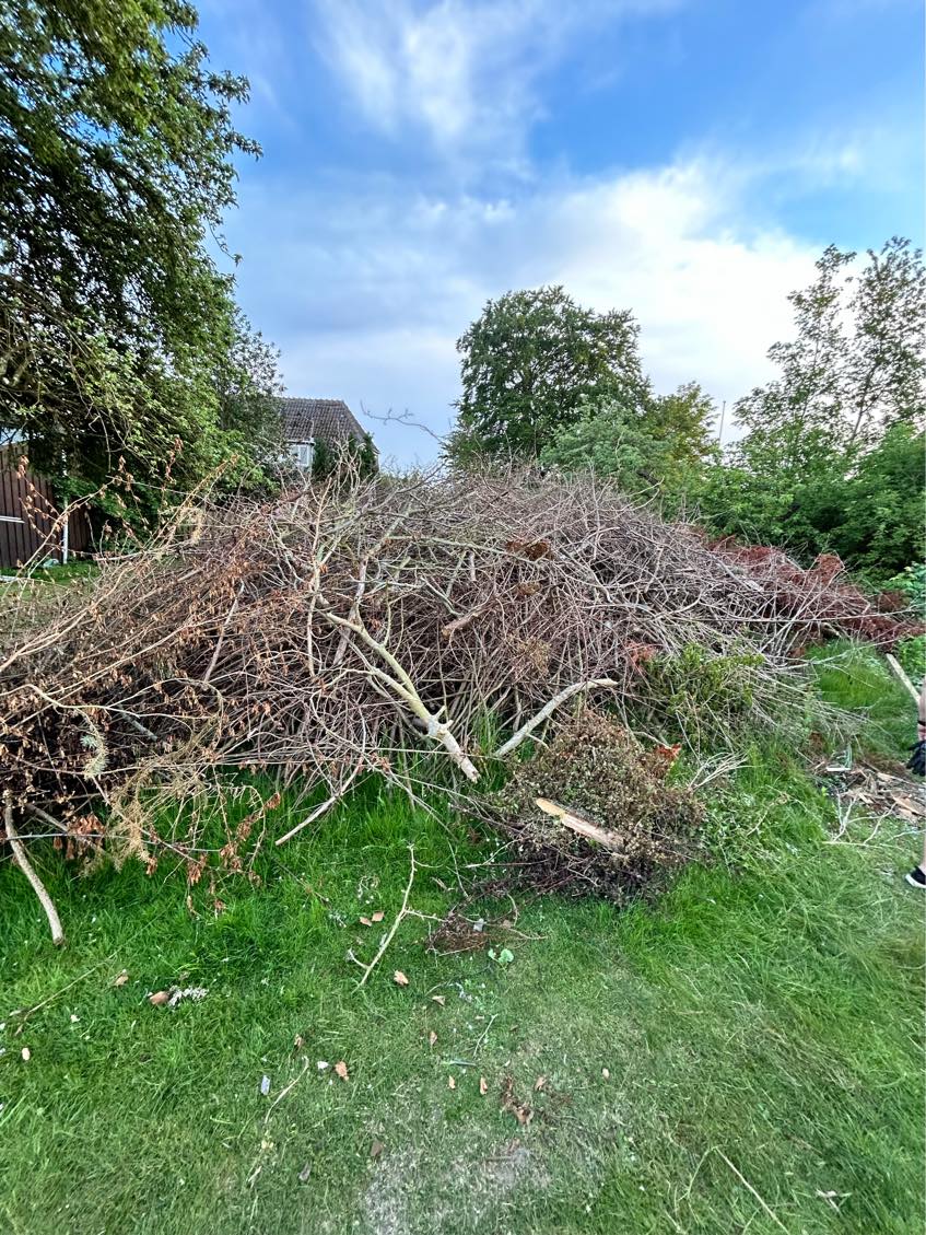 Fjernet 2 bunker grene