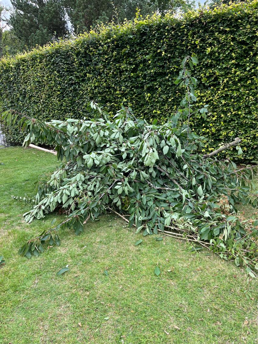 Køre haveaffald bort