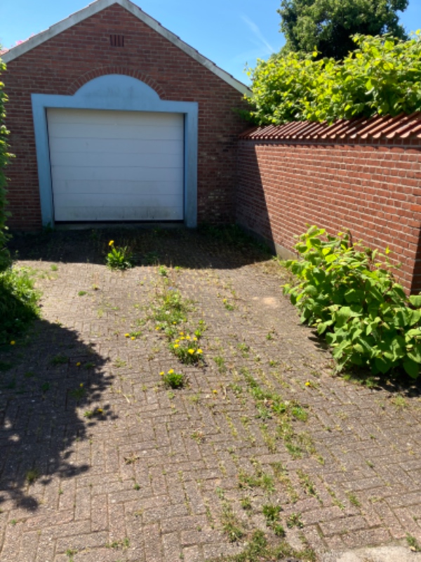 Fjernelse af ukrudt på fortorv