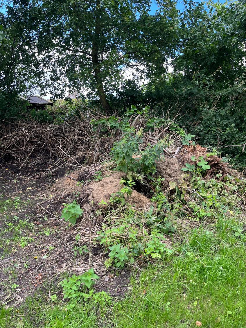 Bortskaffelse af jord og grene