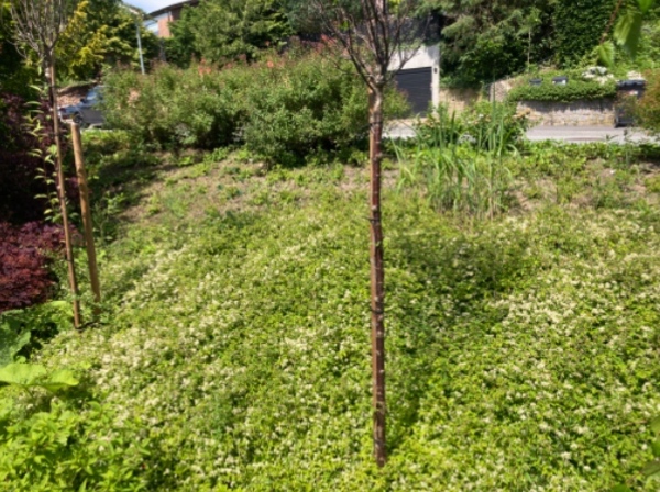 Lugning og oprydning af bede