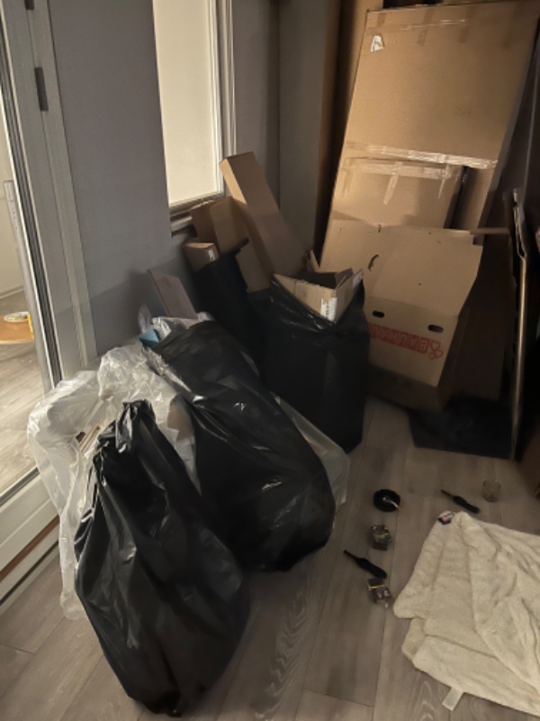 Bortskaffelse af pap affald, flamingo, rester af træplader.