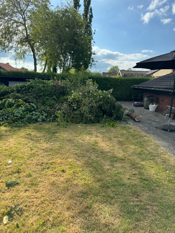 Fjernelse af pil og haveaffald