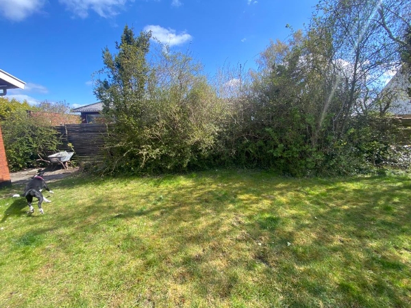 Oprivning af planter og buske