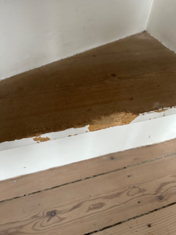 Fraflytning af lejlighed (lidt maling og andre småreparationer).